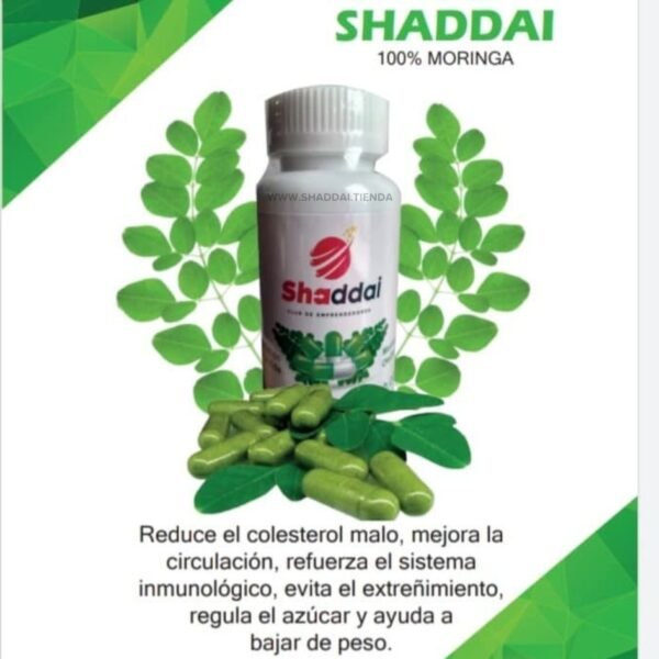 CÁPSULAS DE MORINGA - Imagen 2
