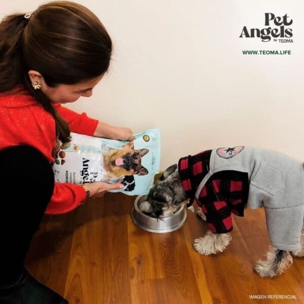 Pet Angels 🐶 Comida para Perros - Imagen 5