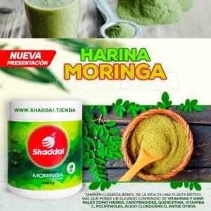 HARINA DE MORINGA PREMIUM