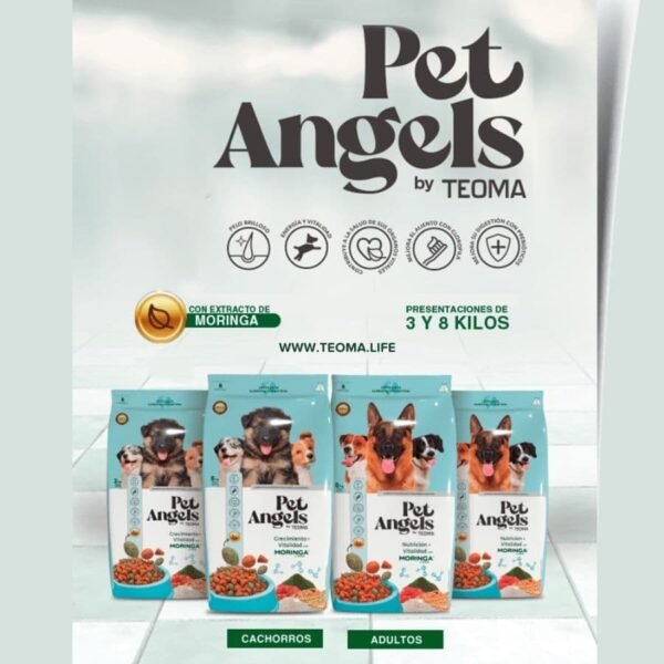 Pet Angels 🐶 Comida para Perros - Imagen 4