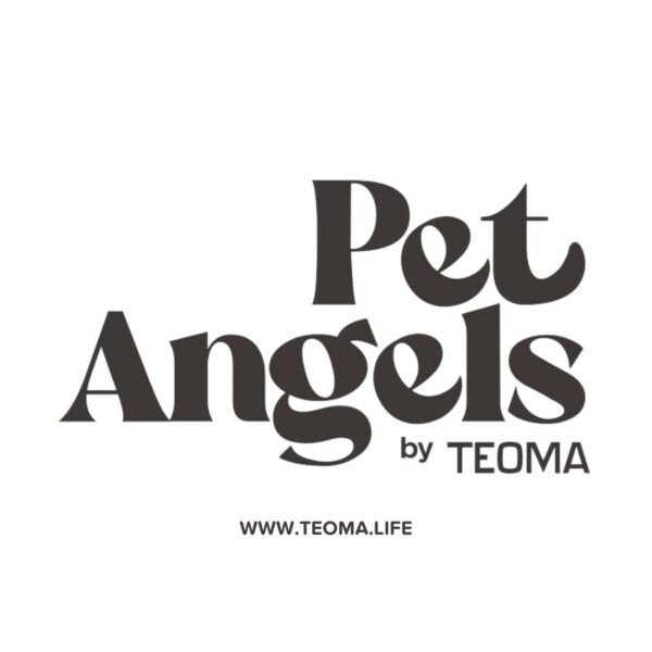 Pet Angels 🐶 Comida para Perros - Imagen 7