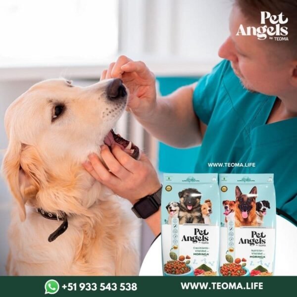 Pet Angels 🐶 Comida para Perros - Imagen 3