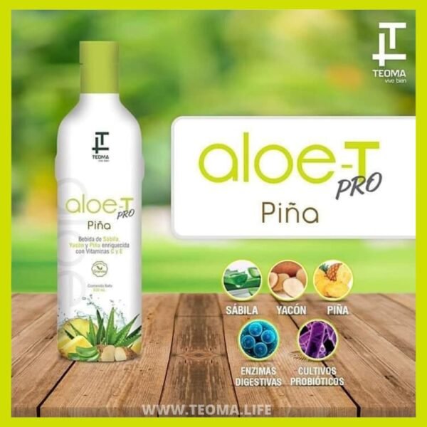 Aloe-T Piña