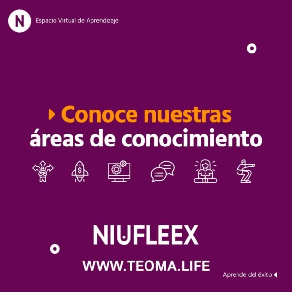 Niufleex - Cursos Online - Plataforma Educativa - Imagen 4
