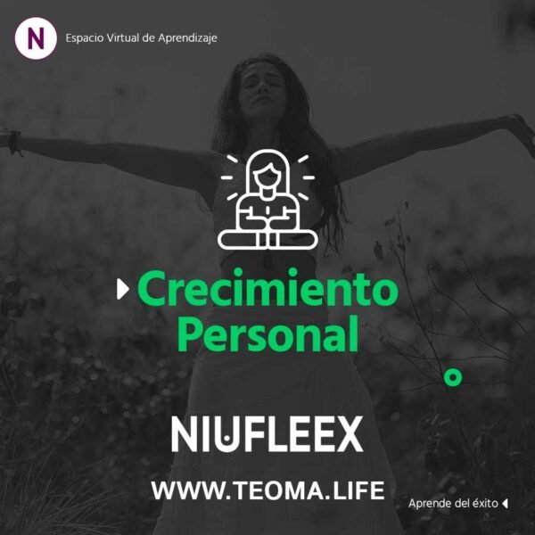 Niufleex - Cursos Online - Plataforma Educativa - Imagen 5