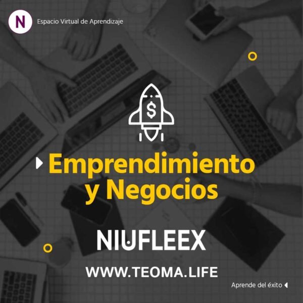 Niufleex - Cursos Online - Plataforma Educativa - Imagen 10