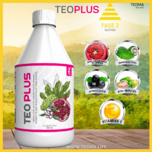 TEOPLUS
